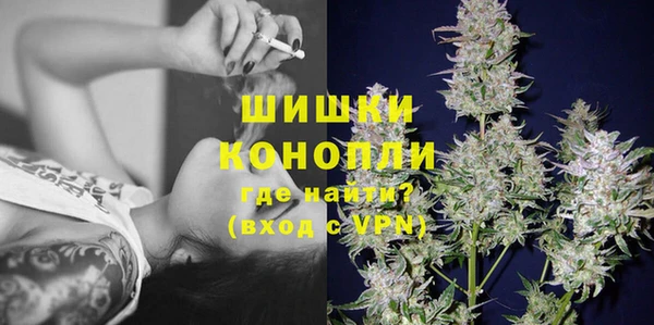 spice Покачи