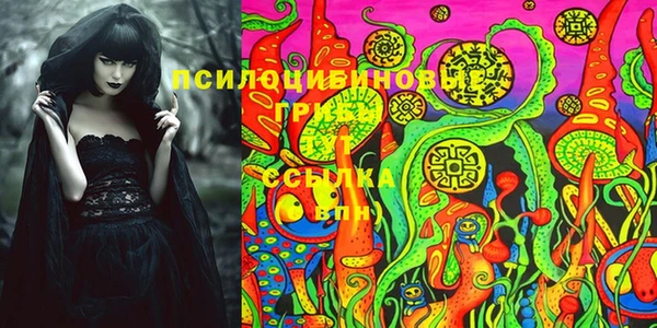 spice Покачи