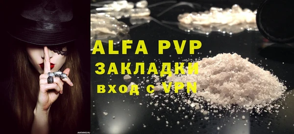 spice Покачи