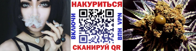 купить наркоту  Новый Оскол  Конопля SATIVA & INDICA 